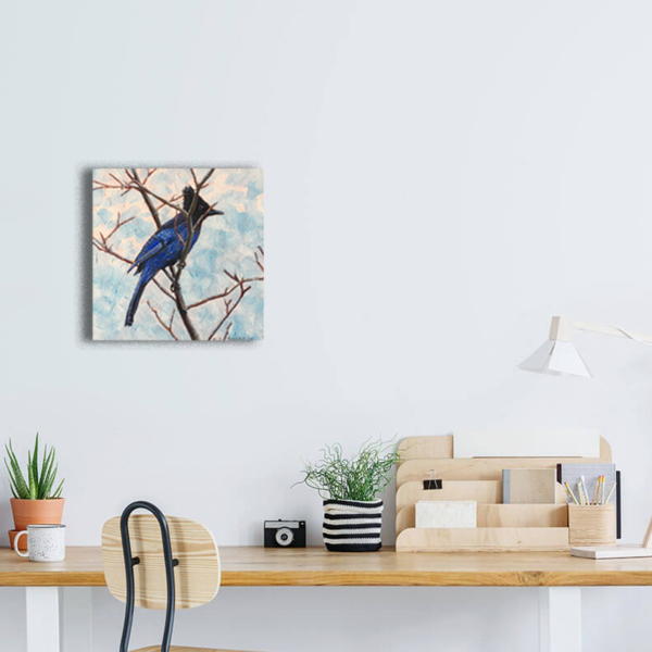 "Steller’s Jay” - Image 3