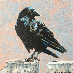 Strike a Pose (Raven)-Spoliarium-New