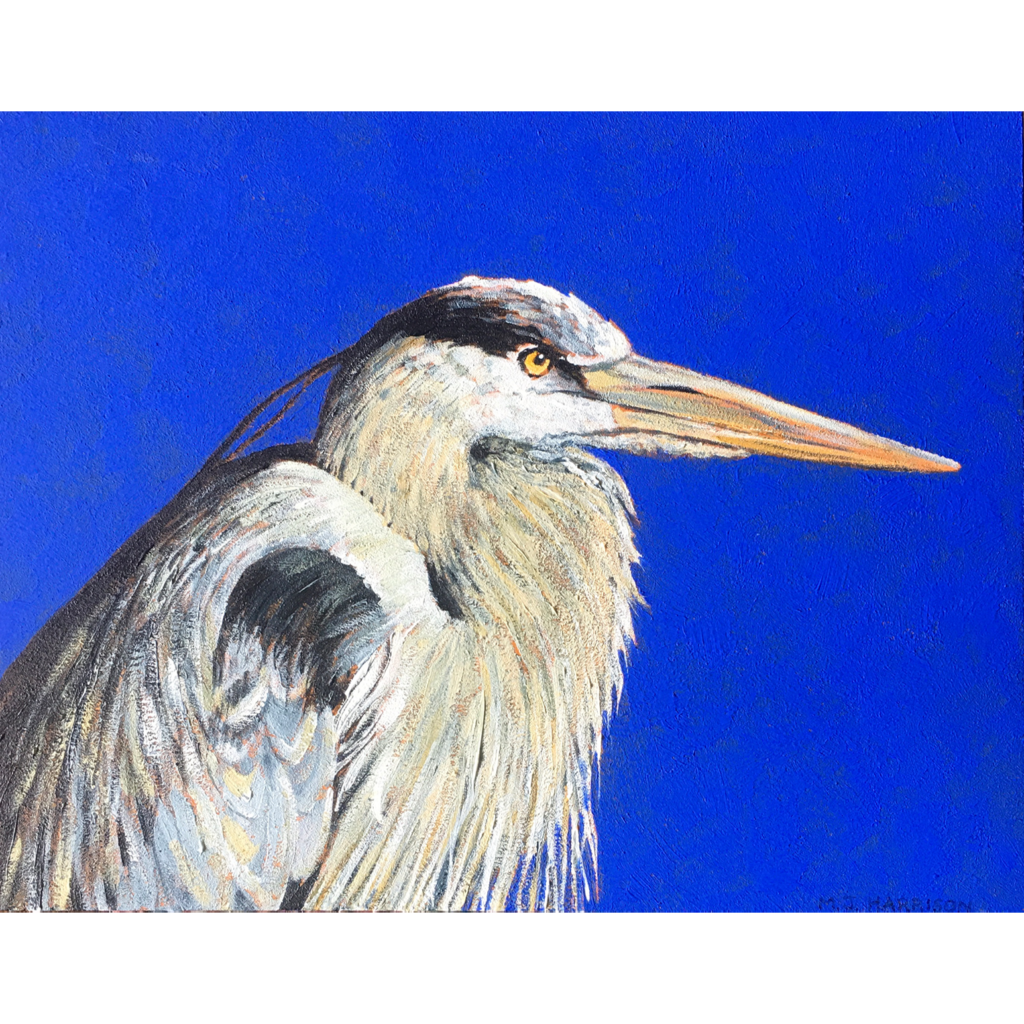 “Waiting…” (Great Blue Heron) - SPOLIARIUM