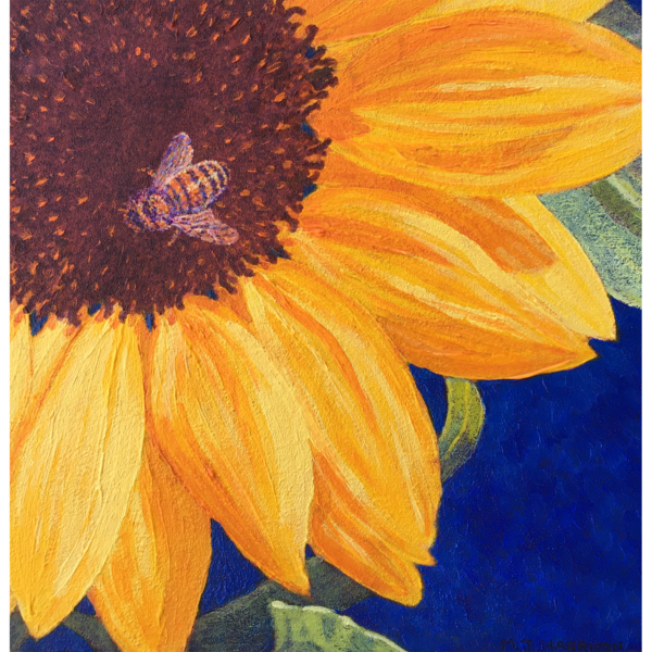 Sunny Buzz 2